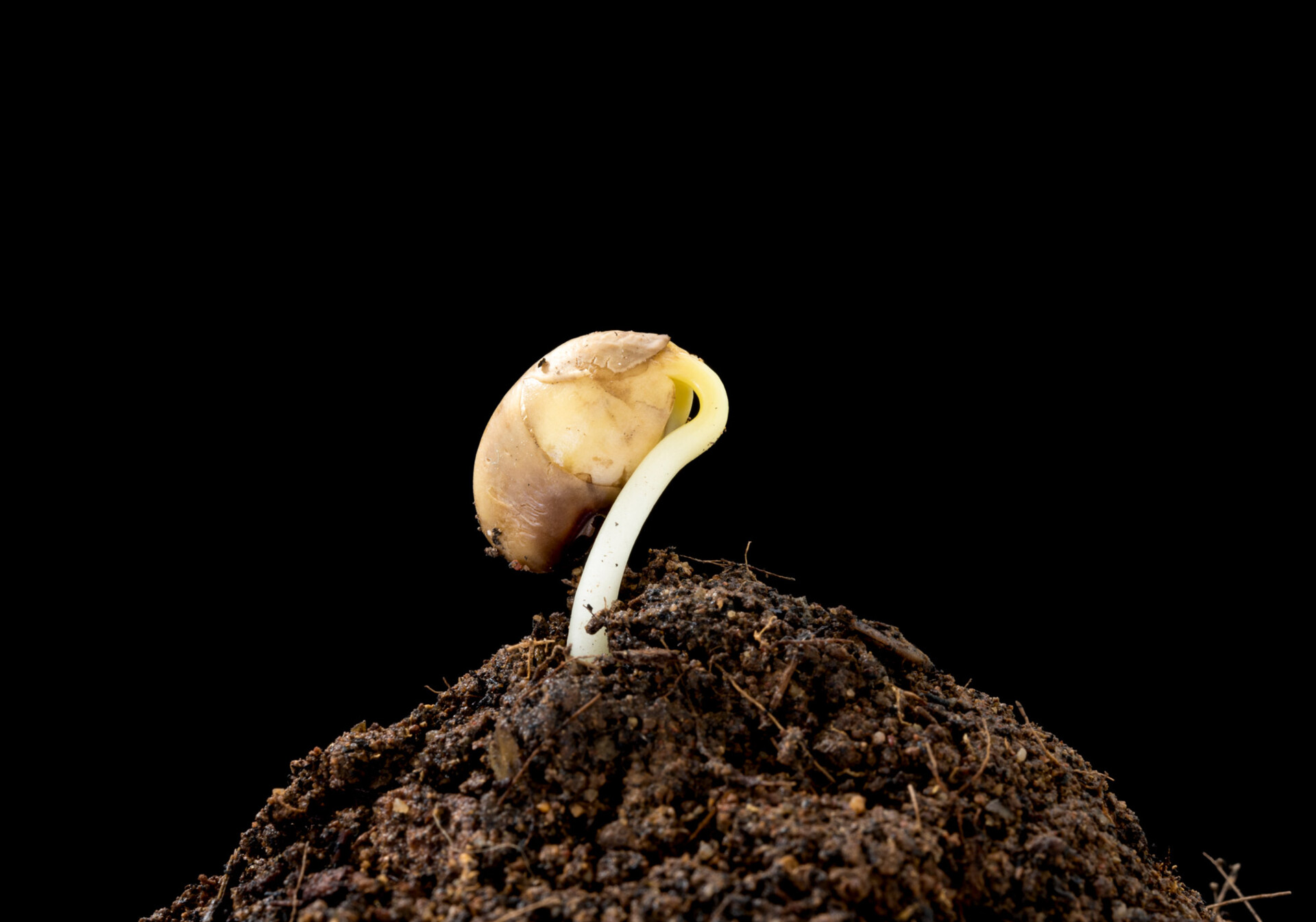 iStock-481061554 iStock-481061554